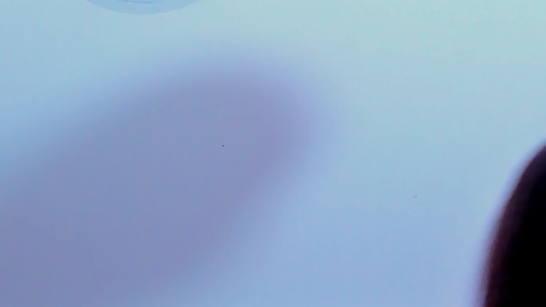 SophyCollin's Streamate show and profile