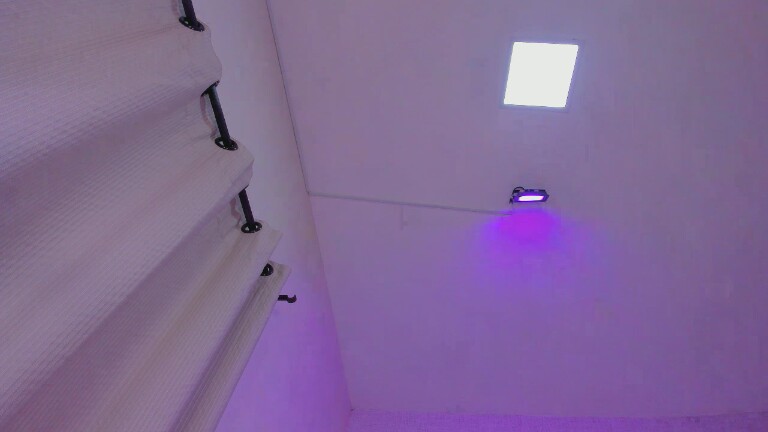 OliviaPagani's Streamate show and profile